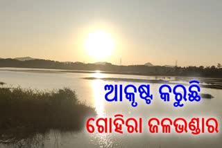 ଦେବଗଡର ଅନ୍ୟତମ ଆକର୍ଷଣ ଗୋହିରା ଜଳଭଣ୍ଡାର