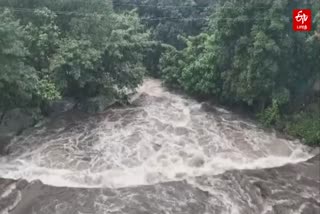 கன்னியாகுமரி மாவட்டத்தில் கொட்டித் தீர்க்கும் கனமழை