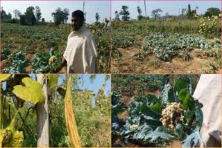 farmers_lost_their_vegetable_crops_in_michaung_cyclone_effect