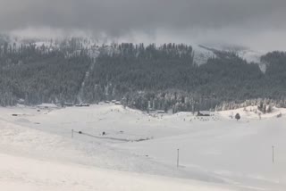 Night temperatures improve after fresh snowfall in Kashmir, Gulmarg the coldest place