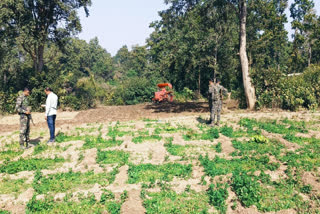 police destroyed poppy crop on 40 acres in Palamu