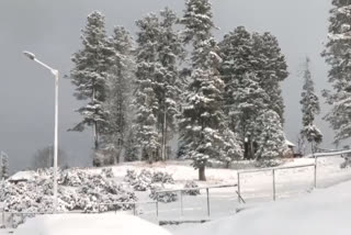 Watch: Winter wonderland Gulmarg covered in snow