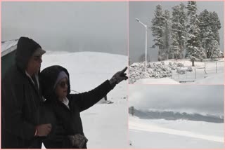 Tourists enjoy fresh snowfall in Gulmarg