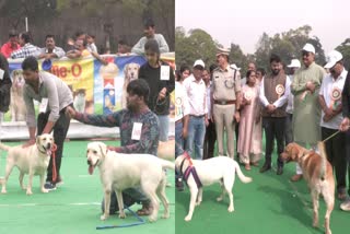 dog-show-in-vijayapura
