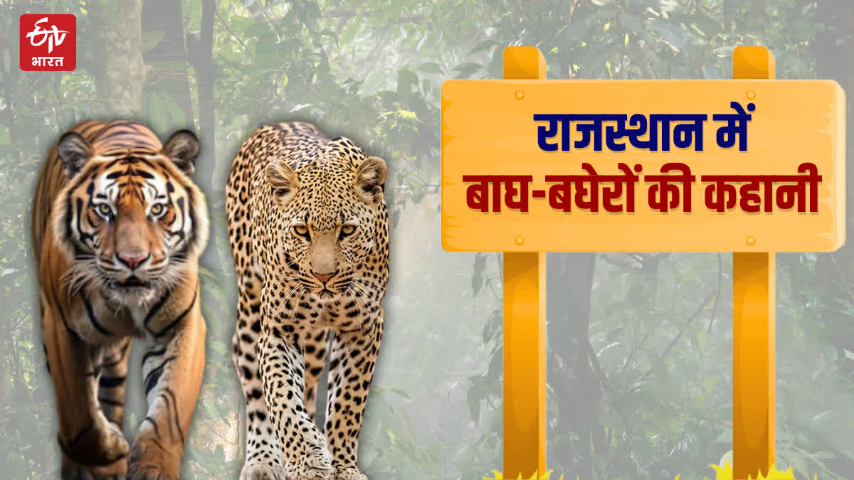 Sariska Tiger Reserve in Alwar