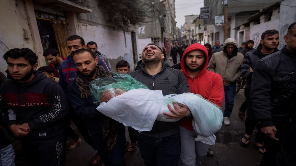 Gaza Death Toll