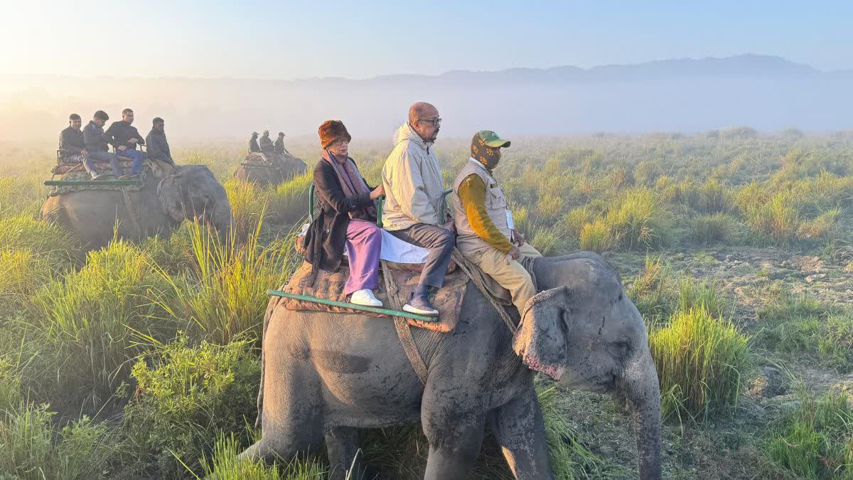 RAMEN DEKA VISITS KAZIRANGA NATIONAL PARK