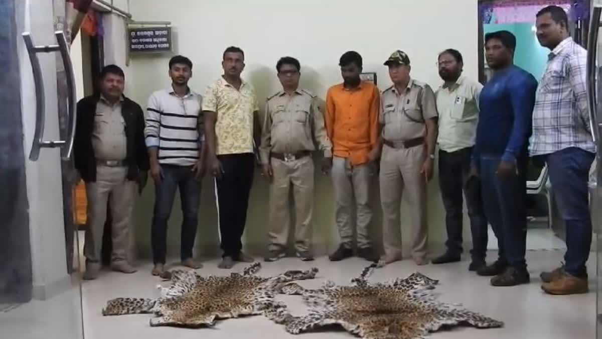 LEOPARD SKIN SEIZED