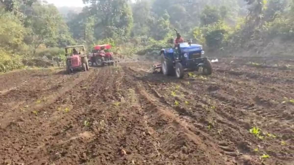 opium-crop-was-destroyed-in-hazaribag