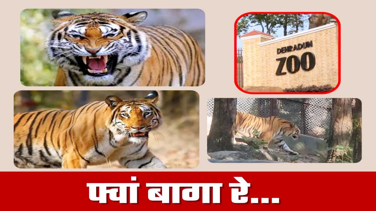 Dehradun Zoo