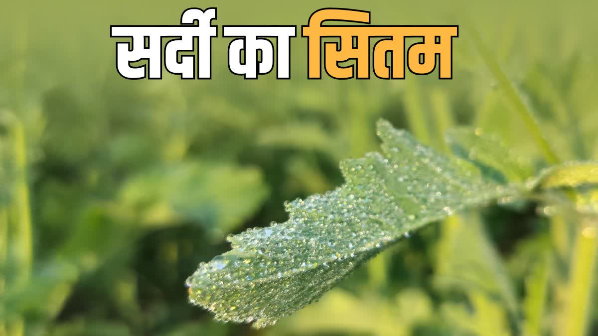 राजस्थान मौसम