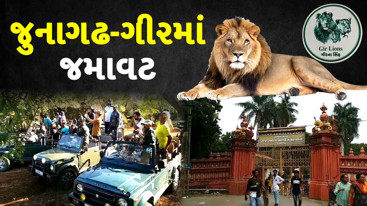 વર્ષના અંતિમ દિવસોમાં ગીરના પર્યટન સ્થળે ઉમટશે પ્રવાસીઓ