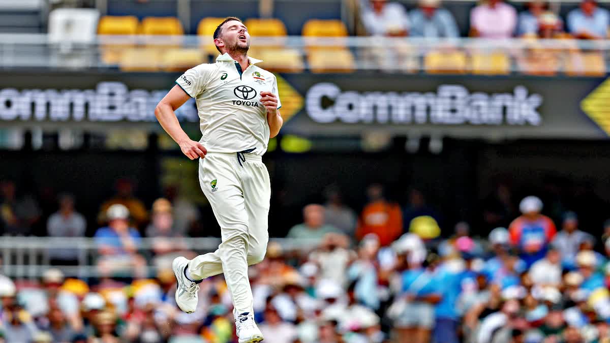 JOSH HAZLEWOOD