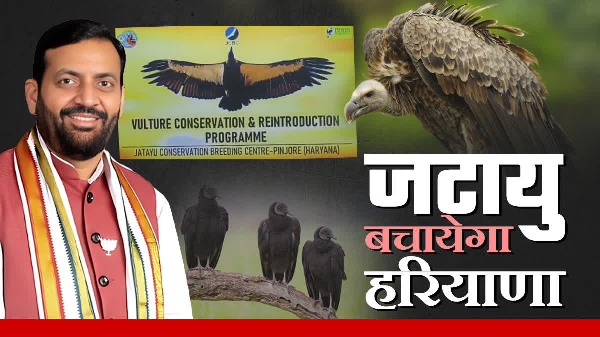 Jatayu Conservation Centre Pinjore