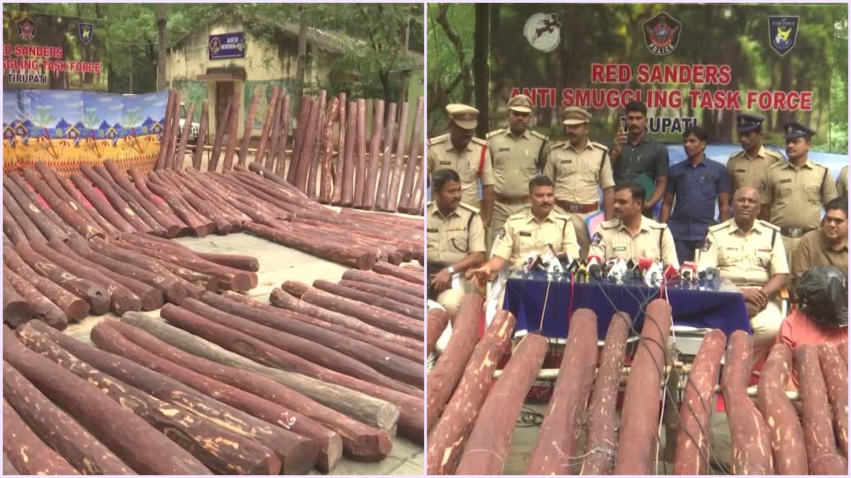 police_arrested_gang_involved_in_smuggling_red_sandalwood_from_tirupati