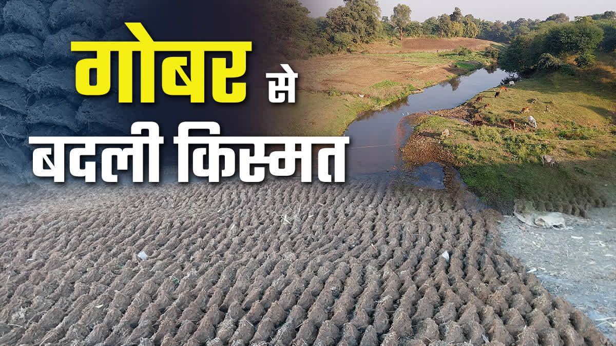 JABALPUR WOMAN MAKE COW DUNG CAKES