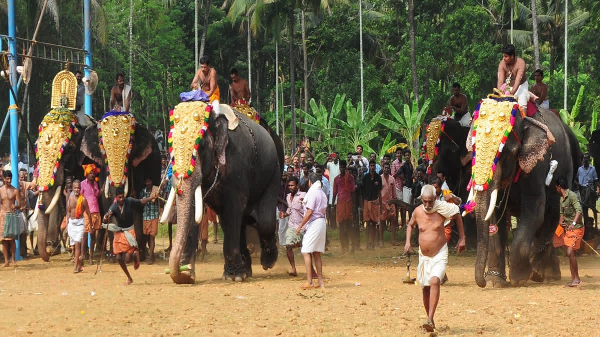 ತ್ರಿಶೂರ್ ಪೂರಂ ಉತ್ಸವ