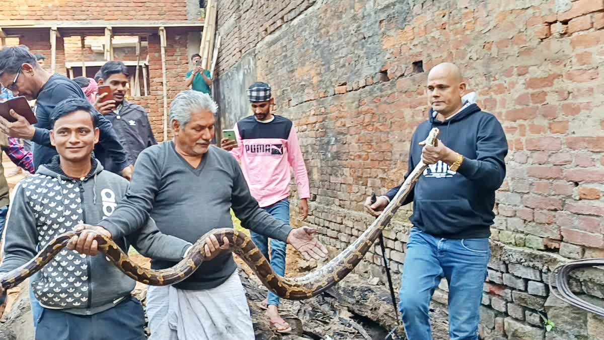 PYTHON IN ROHTAS