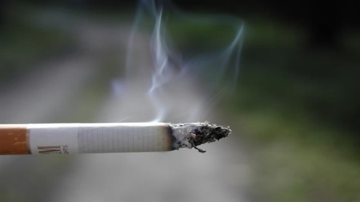 CIGARETTE CONSUMPTION KASHMIR  സിഗരറ്റ് കശ്‌മീര്‍ പഠനങ്ങള്‍  CIGARETTE  Students Smoke In Kashmir