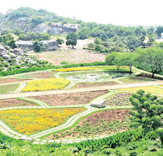 Forest around Outer Ring Road