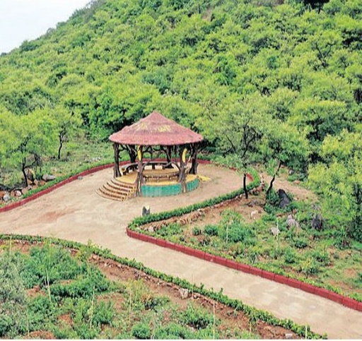 Forest around Outer Ring Road