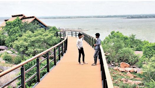 Forest around Outer Ring Road