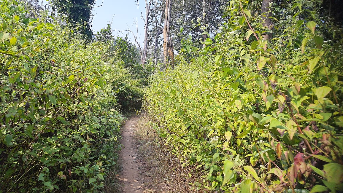 Bhimamandali in Sambalpur a historical site