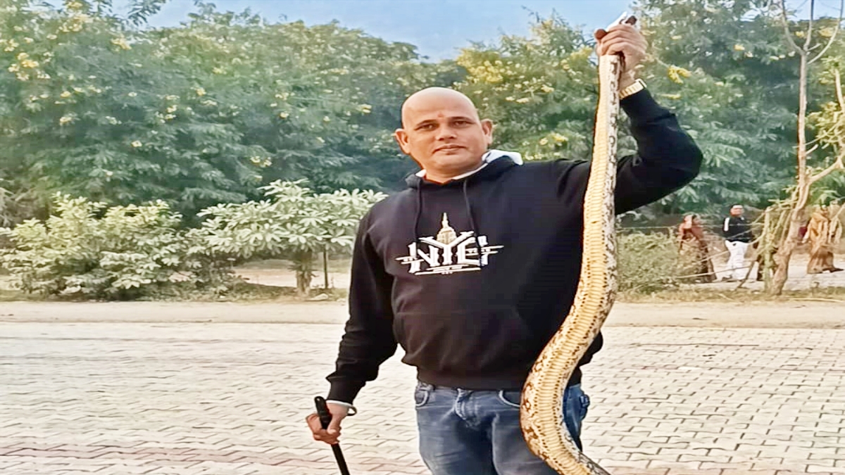 PYTHON IN ROHTAS