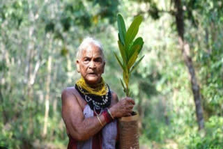 Environmental activist and Padma Shri awardee Tulasi Gouda