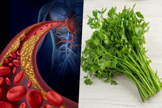 5 green leaves to reduce cholesterol