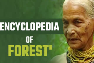 Environmentalist Tulasi Gowda Passed away at the age of 86.