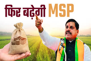 WHEAT PADDY MSP INCREASE MP GOVT MOHAN YADAV