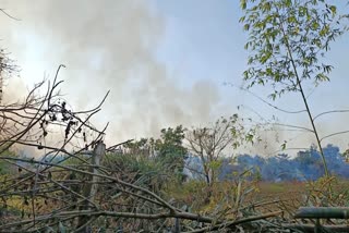 Villagers In South Dinajpur Allege Bangladeshis Set Fire On Land Beyond Indo-Bangla Border