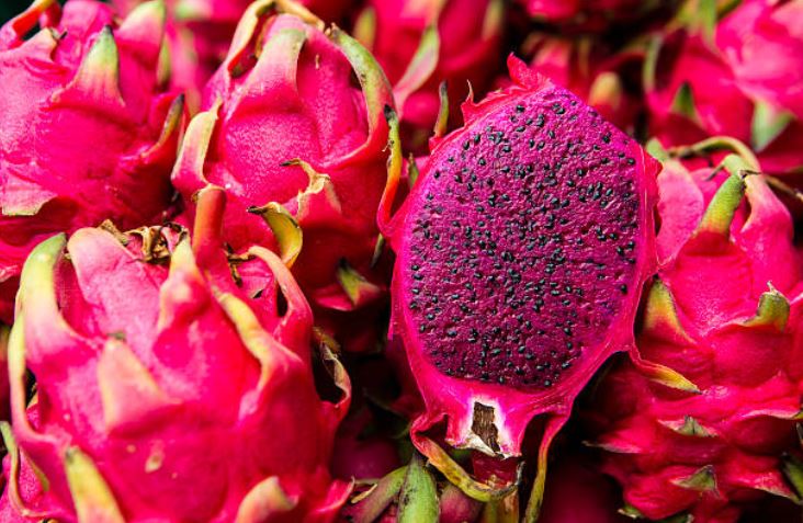 Dragon Fruit