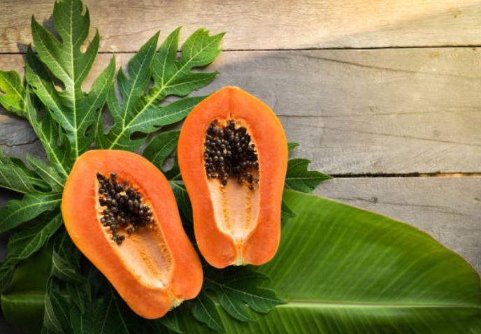 Papaya