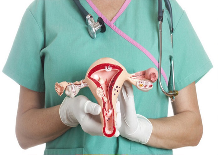 Increasing Trend of Hysterectomy in Indian Women