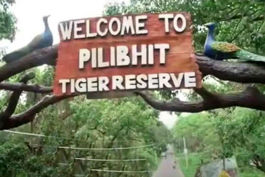 Pilibhit Tiger Reserve