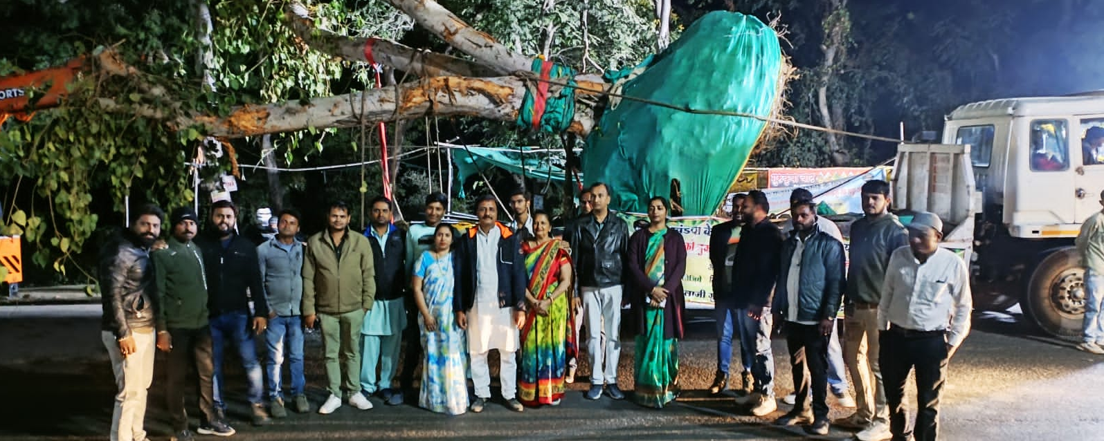 75 years old peepal tree shifted to another place