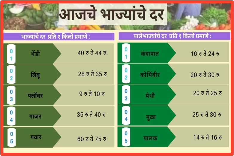 Vegetables Rate Today