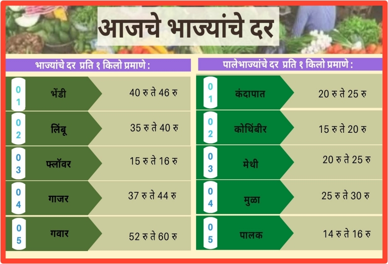 Vegetables Rate Today