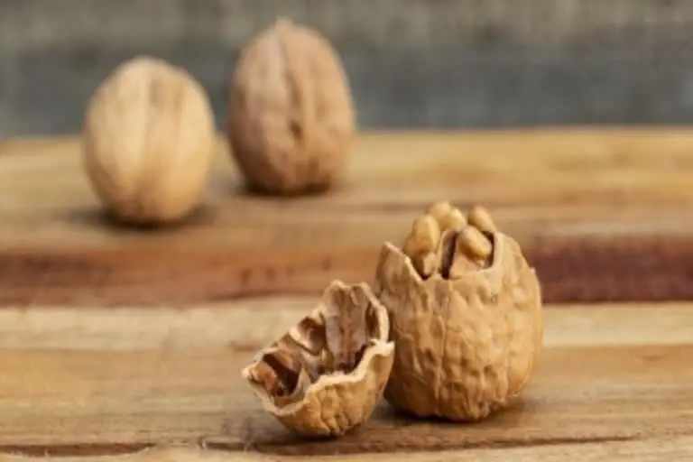 walnut