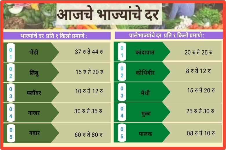 Today Vegetables Prices