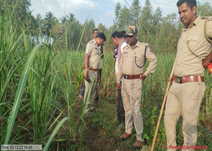 Operation to capture leopard