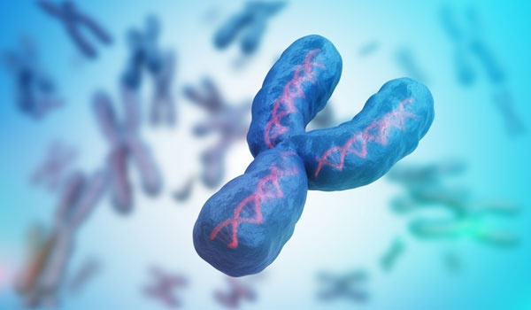 the male chromosome ends an alternative system