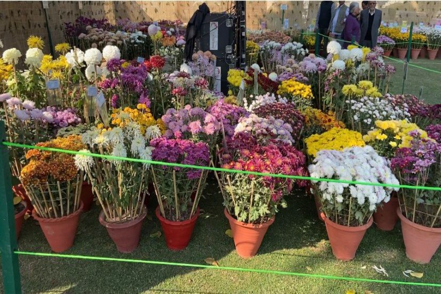 चंडीगढ़ में फूलों का मेला