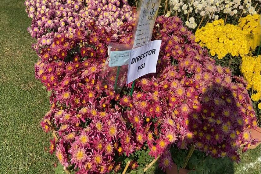 फूलों की खुशबू से महका चंड़ीगढ़