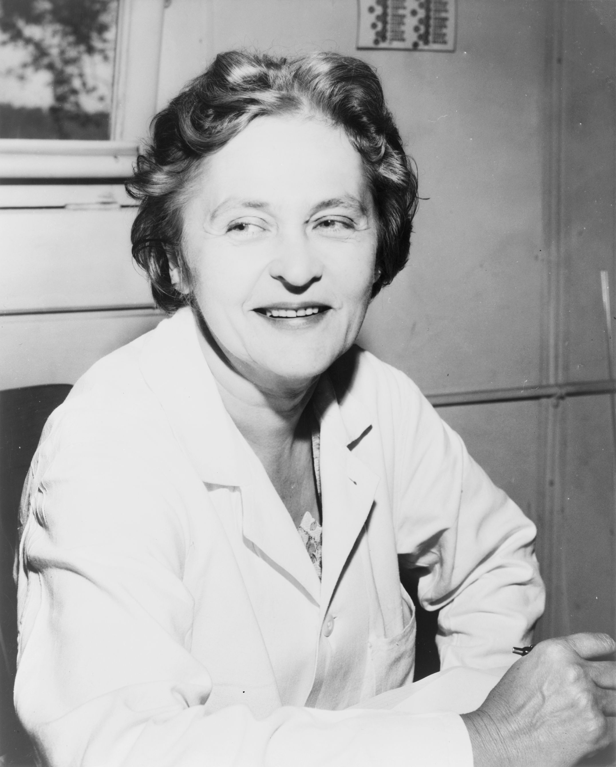 Who was the great scientist Dr Maria Telkes whom Google remembered through Doodle