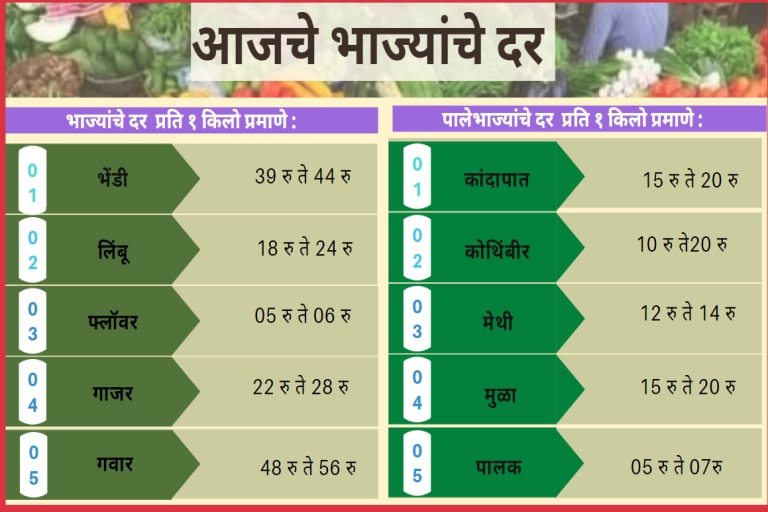 Vegetables rate today