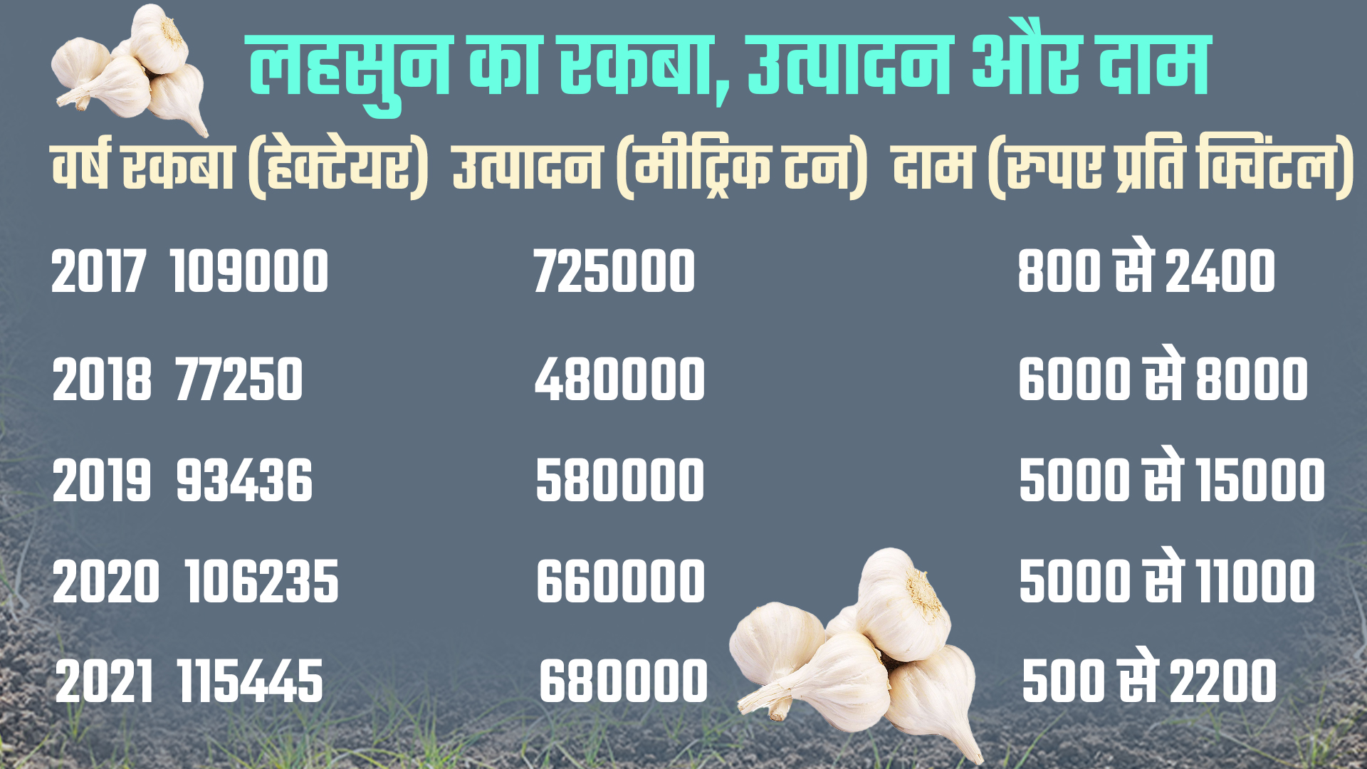Garlic acreage reduced in Kota division