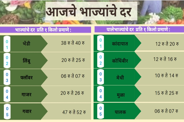 Vegetables Rate Today